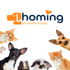Project Homing: Design System